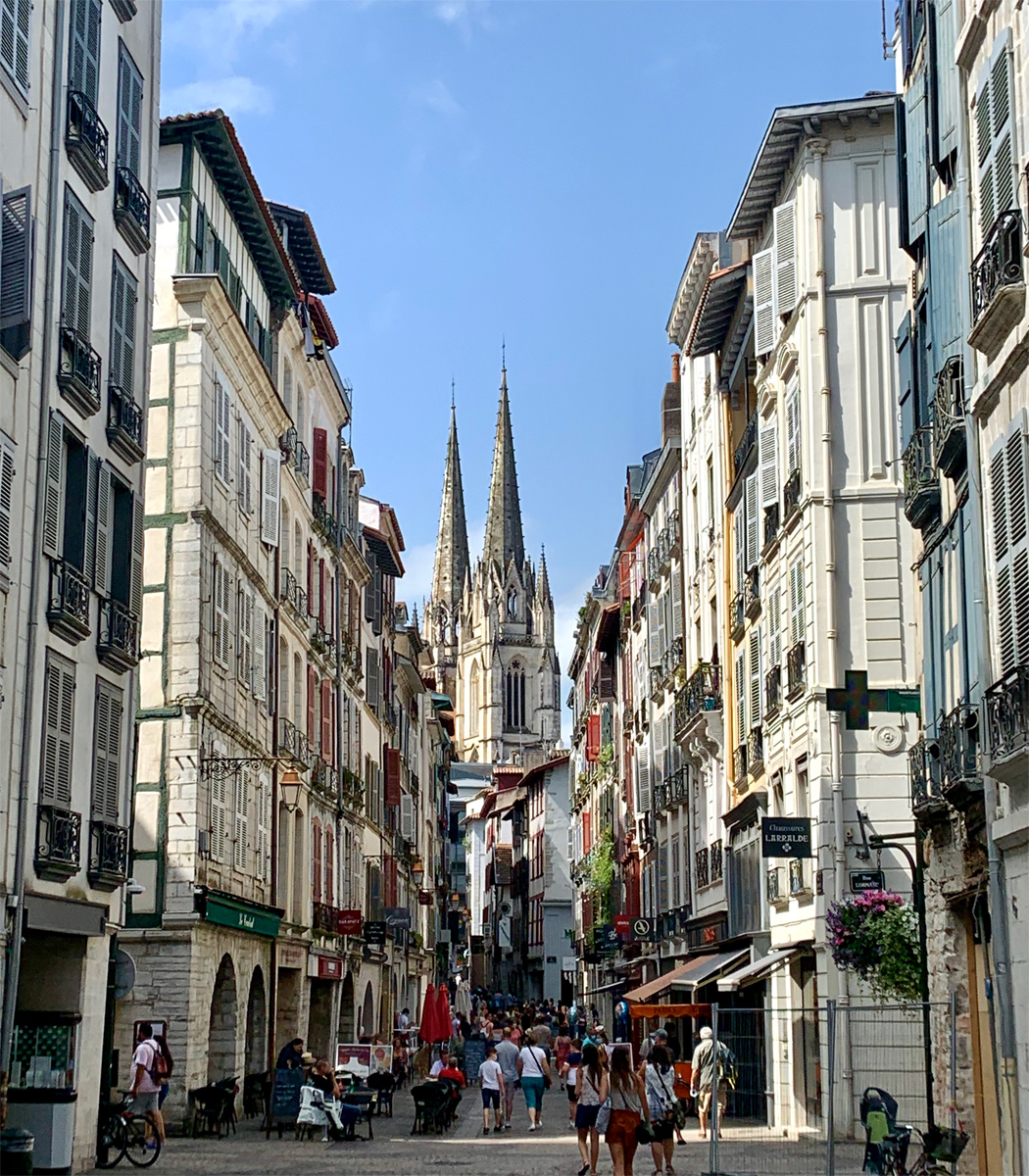 Local environment of Bayonne and regional setting